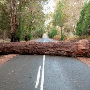 呼吸と身体のつながりを妨げるもの