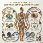 アレクサンダー・テクニーク：全身がつながり、自然な「Up」の力が生まれる仕組み