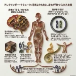 アレクサンダー・テクニーク：思考よりも先に、身体が「気づく」対人支援