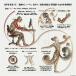 効率を阻害する「身体のブレーキ」を外す：知識労働者と専門職のための身体再教育