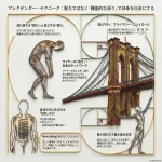 アレクサンダー・テクニーク：脱力ではなく「機能的な張り」で身体を自由にする